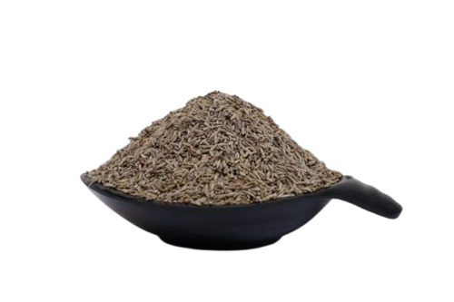 Cumin Seed  - Color: --