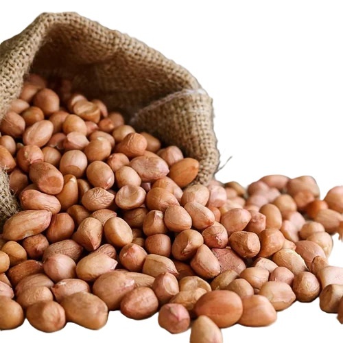 Raw Peanuts - Whole Shell Variety, Natural Size, Fresh Red Color | Premium Grade A Quality