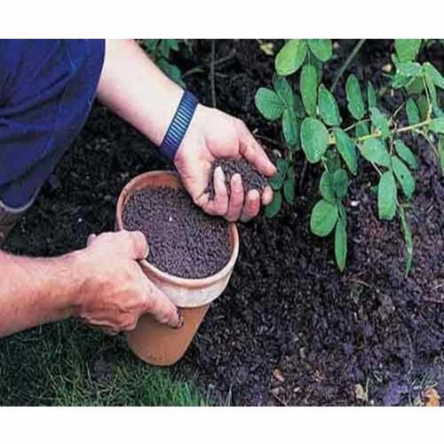 Organic Fertilizer - Application: Agriculture