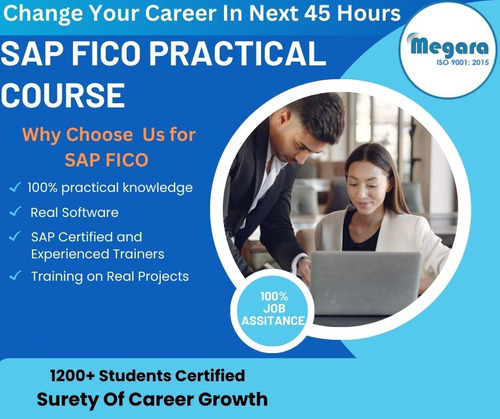 Sap Hcm/Hr Practical Certification Cum Placement Program