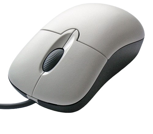 Computer Mouse