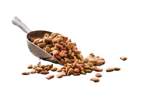 Dog Food - Color: All