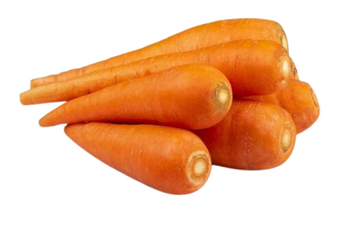 Fresh Carrot