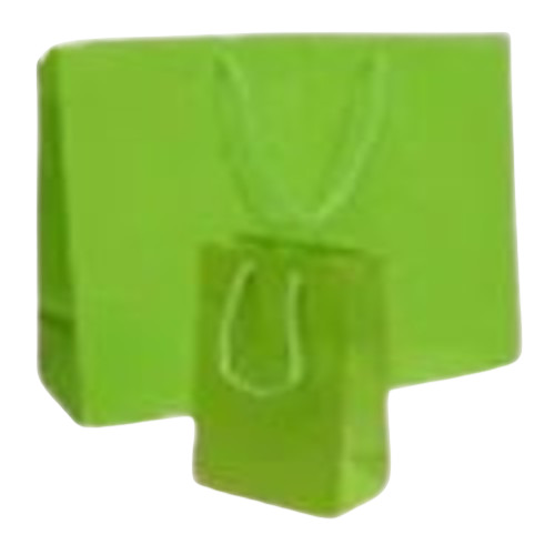 Designer Paper Shopping Bags - Green, Biodegradable and Moisture Proof | Rope Handle, Recyclable, Plain Design