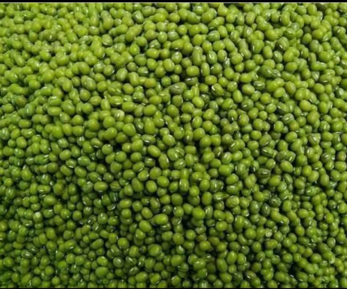 Moong Seeds - Color: Green