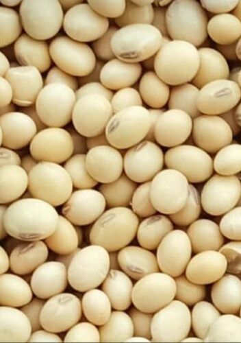 Soybean Seeds