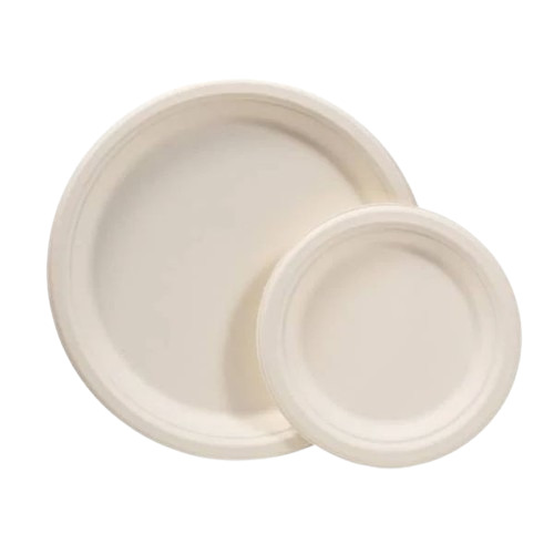 Biodegradable Disposable Plate