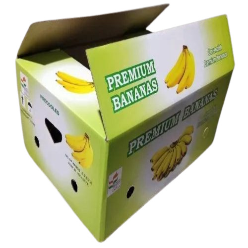 Printed Packaging Box - Double Wall 5 Ply, Rectangular Shape, Multicolor Luxury with Glossy Lamination and Embossing, Customized Size for Fruit Packaging