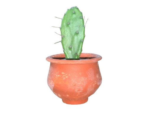 Terracotta Clay Planter