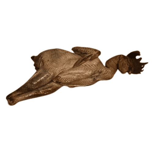 Kadaknath Black Chicken - Admixture (%): 1