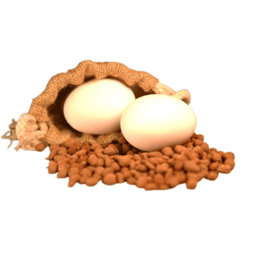 Poultry Eggs - Egg Origin: Chicken