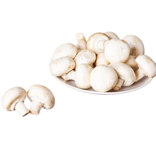 Fresh Button Mushrooms - Color: White