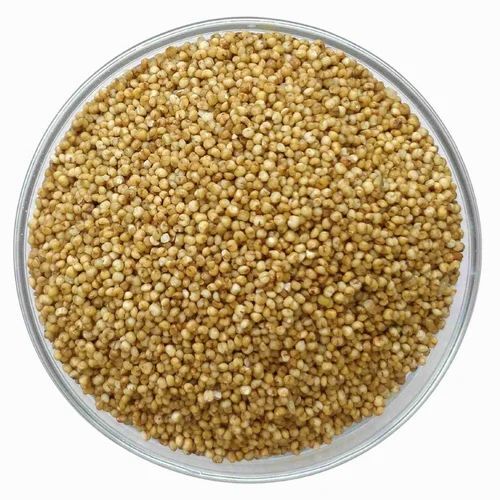 Brown Kodo Millet Seed - Grade: A Grade