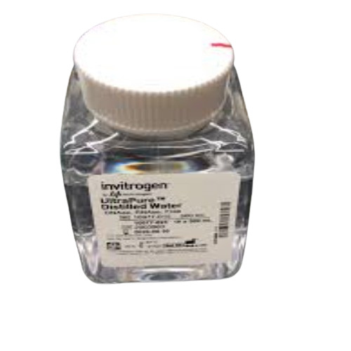 Laboratory Reagent 11500 Invitrogen Ultrapure Distilled Water 500 Ml