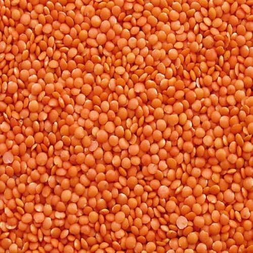 Red Masoor Dal - Cultivation Type: Organic