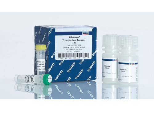 12381 Endofree Plasmid Mega Kit (5) Laboratory Chemicals