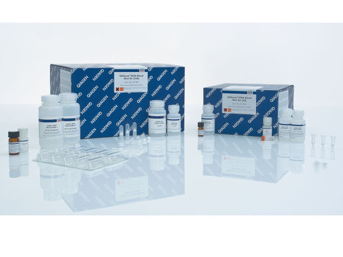 13323 Qiagen Blood & Cell Culture Dna Mini Kit (25) Lab Chemical