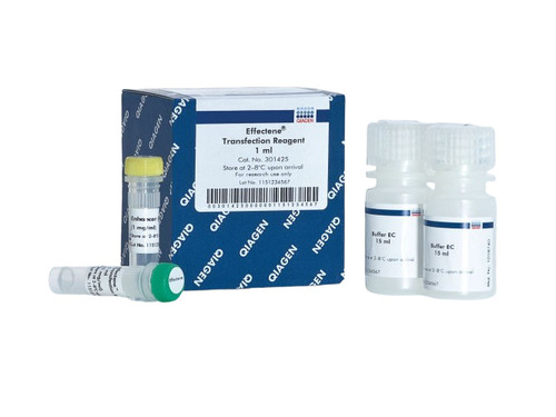 19048 Endofree Plasmid Buffer Set Chemicals