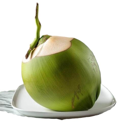 Green Coconut - Organic A Grade Whole Fresh Full-Husked Matured Variety Green Color | Common Cultivation Type