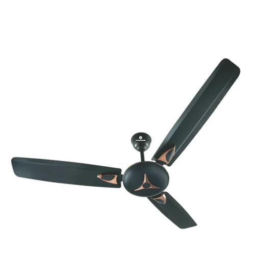 Black Ceiling Fan