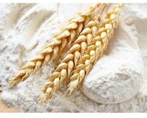 Organic Wheat Flour