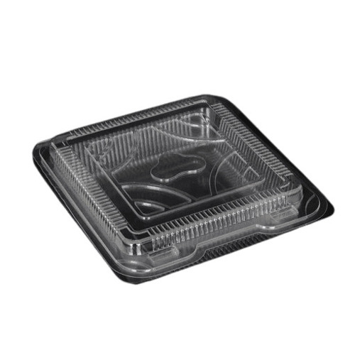 Fruit Container - Plastic, Standard Size, Transparent | Eco-Friendly, Biodegradable, Moisture-Resistant, Lightweight, Disposable, Square Shape