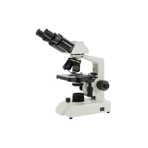 Binocular Microscope