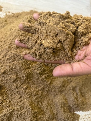 Fish Meal