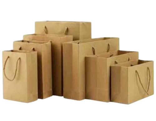 Paper Carry Bags With Dori