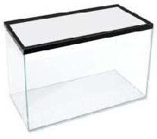 Glass Aquarium