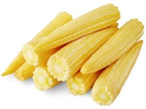 Baby Corn  - Cultivation Type: Common
