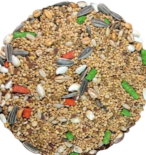 Budgies Bird Food