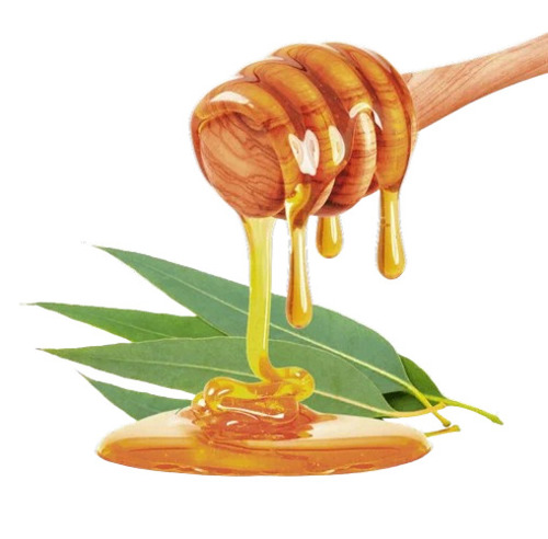 Pure Organic Eucalyptus Honey - Grade: A Grade