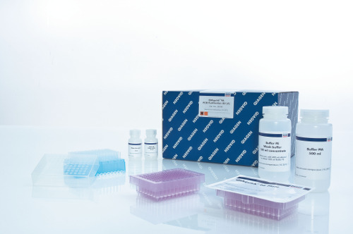 QIAquick 96 PCR Purification Kit 24 - Silica Membrane 96-Well Plates, Vacuum Protocol | High Accuracy, Efficient DNA Purification