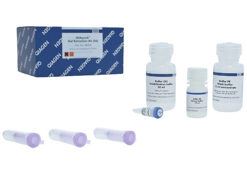 28706 Qiaquick Gel Extraction Kit (250)