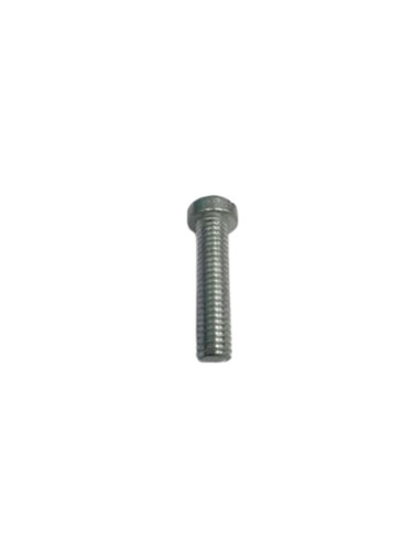 Ms Cheese Head Screw