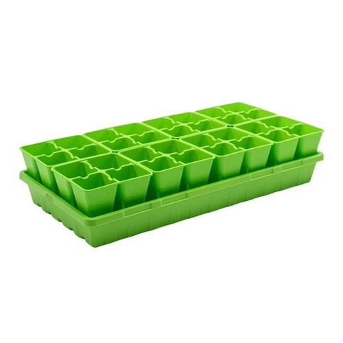 Seed Tray