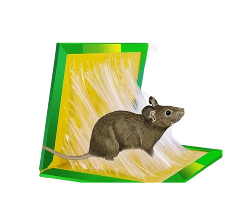 Mouse Glue Trap