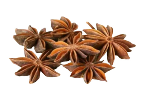 Autumn Star Anise