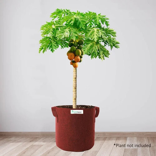 24X24 Inch Geo Fabric Grow Bag - Advantage: Lightweight