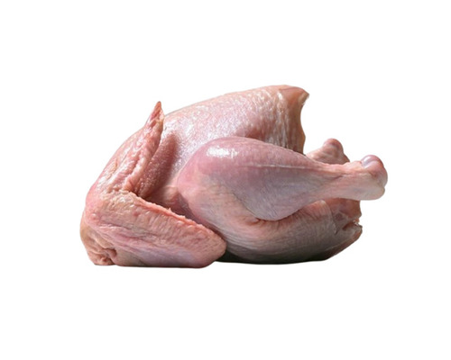 Fresh Chicken Meat - Color: Skin