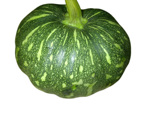 Fresh Pumpkin - Chopped Round Shape Fresh Quality | Cool & Dry Storage Shelf Life: 15 Days 100% Pure Vegetable for Food & Cultivation