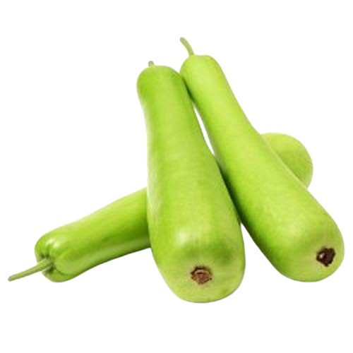 Green Bottle Gourd