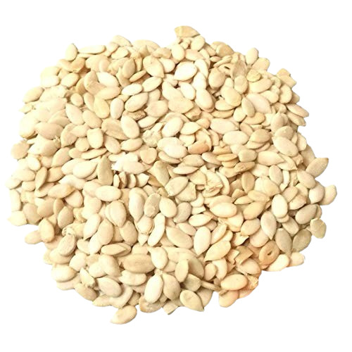 Watermelon Seed