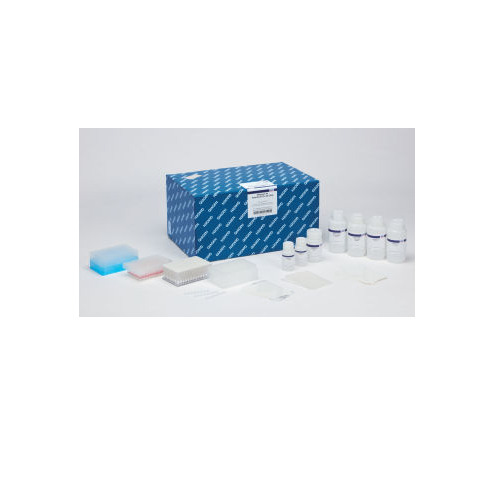 DNeasy 96 PowerSoil Pro Kit