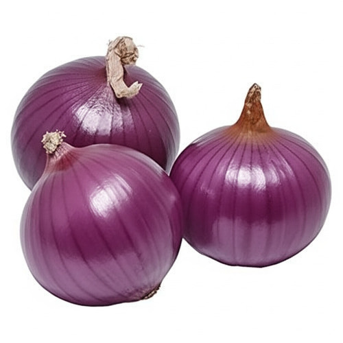 Fresh Onion - Shape: Oval