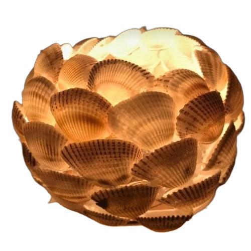 Sea Shell Lamp - Light Source: Fluorescent