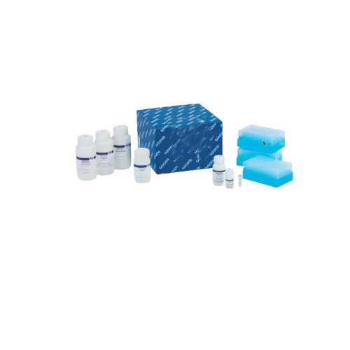 MagAttract PowerSoil Pro DNA Kit