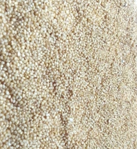 Foxtail Millet Rice
