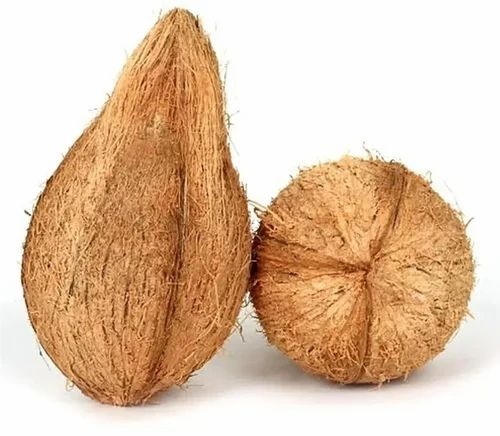 Medium Husked Coconut - Color: Brown